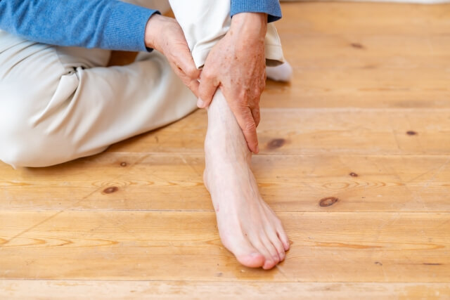 記事内始めの画像